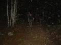 THE_2005_0611_22494827 