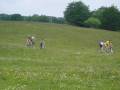 JLM_2004_0610_10070829 
