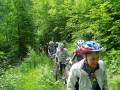 JLM_2004_0610_10403233