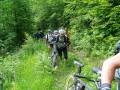 JLM_2004_0610_10404434