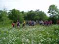 JLM_2004_0610_10470241